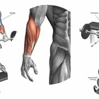 Автоматическая тренировка предплечий Powerful Plus + 11x