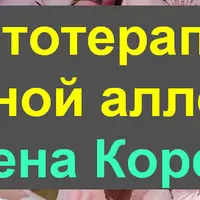 Фитотерапия сезонной аллергии