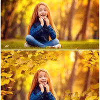 Набор наложений для фотографий: Осенние ветви деревьев