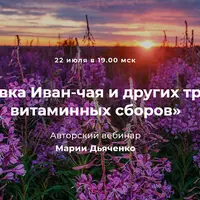 Заготовка Иван-чая и других трав для витаминных сборов