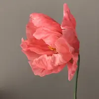 Исландский мак из холодного фарфора