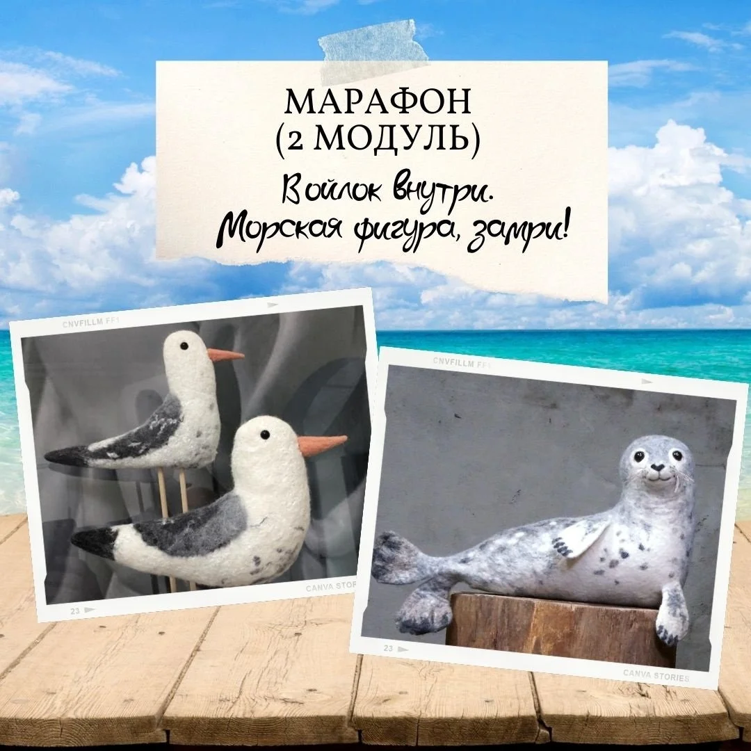 Обложка курса