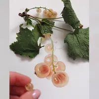 Ягоды. Веточка смородины