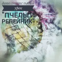 Дополнительные уроки к МК "Палантин Стрекоза"