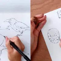 Ежедневное рисование как творческое вдохновение