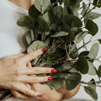 Мудрое озеленение. Растения в Васту