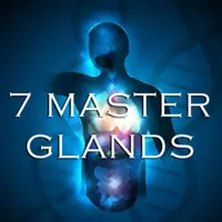 7 главных желез