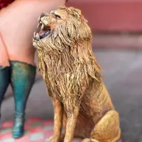 Укротительница тигров. Марафон "Цирк"