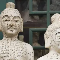 Основные группы акупунктурных точек: точки Ци