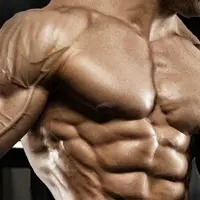 Рост мышц