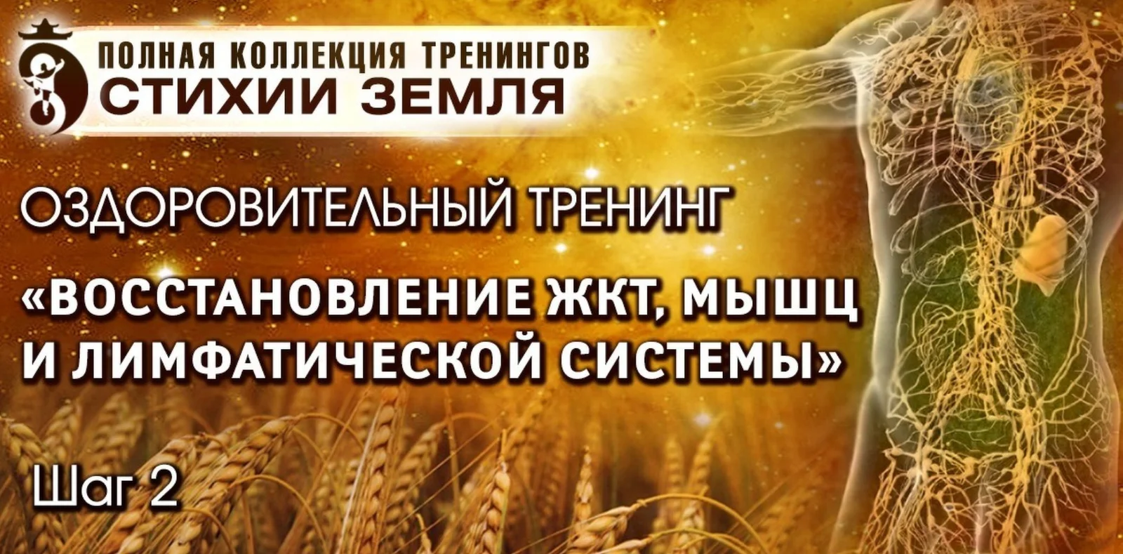 Обложка курса