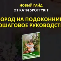 Огород на подоконнике: пошаговое руководство