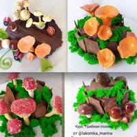 Грибная поляна