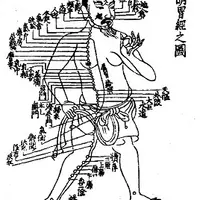 Диагностика по Цзан-фу органам