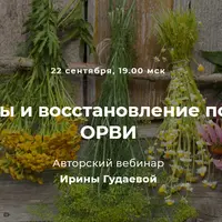 Травы и восстановление после ОРВИ