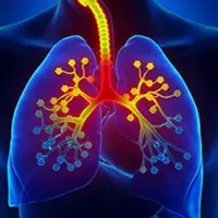 Заживление и регенерация легких V2