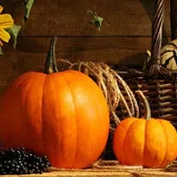 Натюрморт. Основы