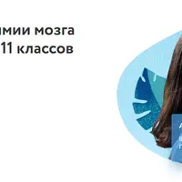 Химия мозга