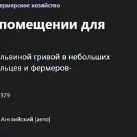 Выращивание грибов в помещении для бизнеса и удовольствия