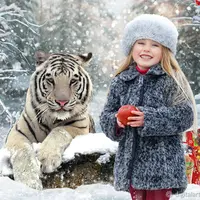 Новогодний коллаж в год Тигра