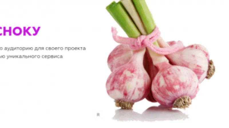 ЦА по чесноку