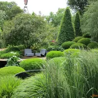 3D-проектирование: третье измерение садового дизайна