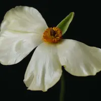 Как победить выгорание