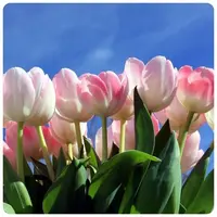 Источник жизненной силы