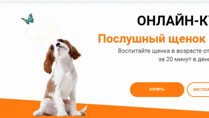 Послушный щенок 2.0. + Неподбор