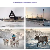 Арктика: Мурманск