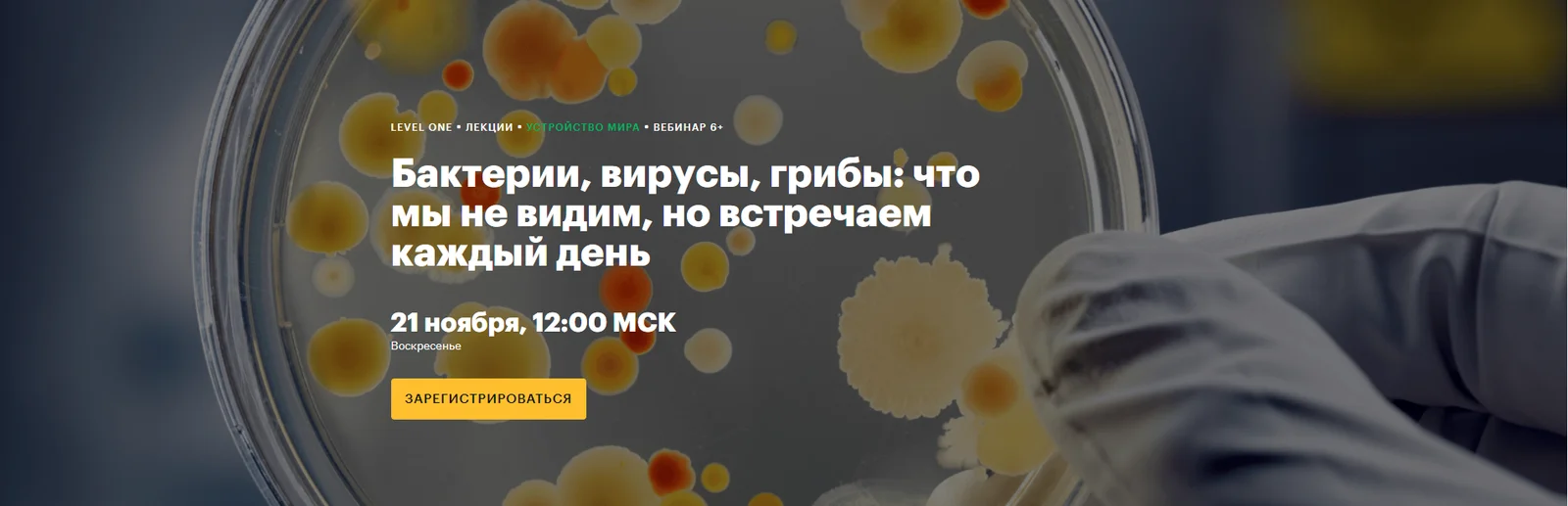 Обложка курса