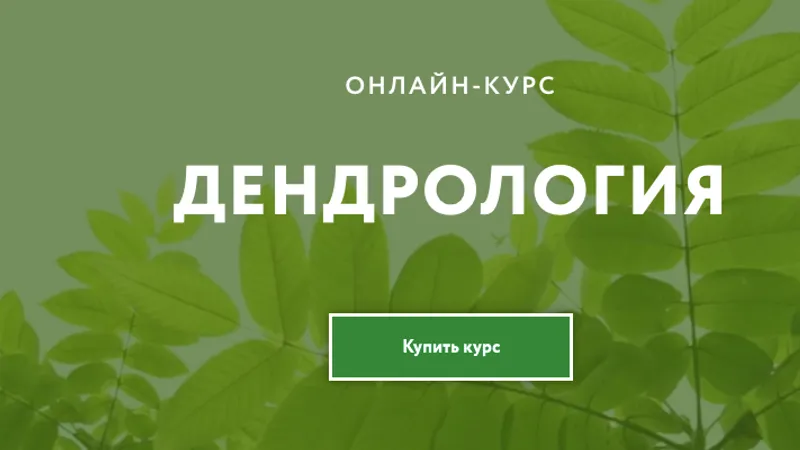 Дендрология