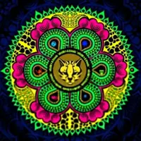 Гармонизатор тела