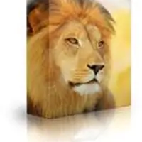 Тренировочный набор Alpha Male v6.0, этап 1