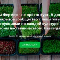 Сити Фермер: Свежая микрозелень у вас дома за одну неделю