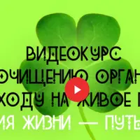 Энергия Жизни - путь к себе