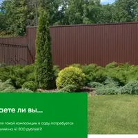 Как выбрать и посадить растения