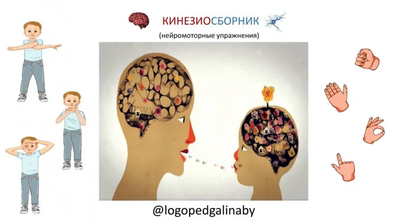 Кинезиосборник нейромоторные упражнения