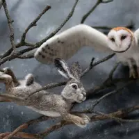 Заяц, сипуха и косуля