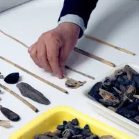 Законы визуального восприятия