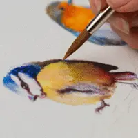 Художественные акварельные техники для иллюстрирования птиц