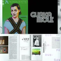 Автоматизированная верстка журналов и книг в Adobe InDesign