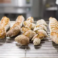 Основы здорового хлебопечения