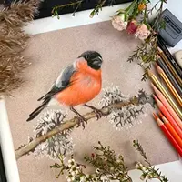 Разноцветный реализм