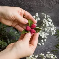 Мастер-класс «Малина» + сборка брошки и сережек