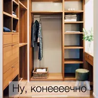 Дзен в шкафу