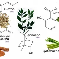 Химия эфирных масел