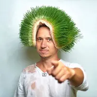 Микрозелень дома