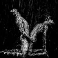 Сексуальная сила