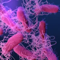 Уничтожить бактерии